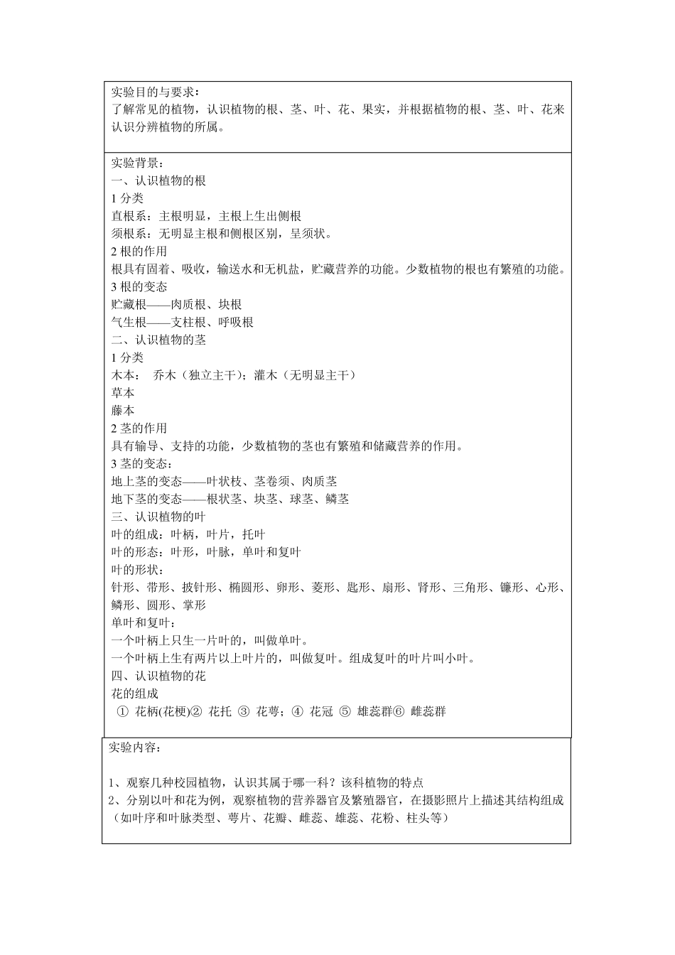 植物形态观察报告_第2页