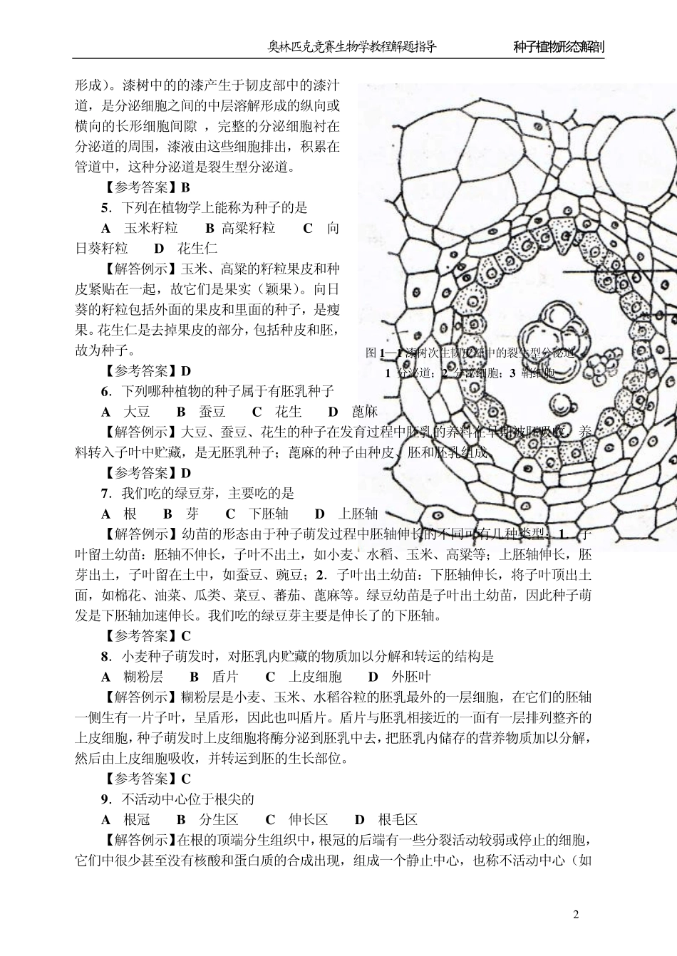 植物形态解剖学习题_第2页
