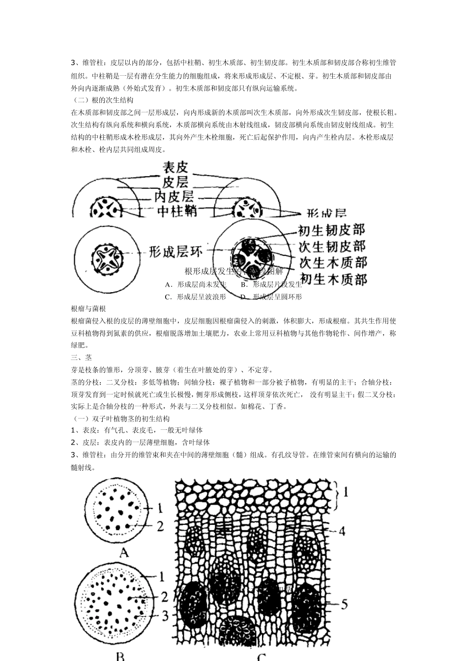 植物形态解剖教案_第3页