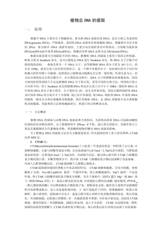 植物总DNA的提取