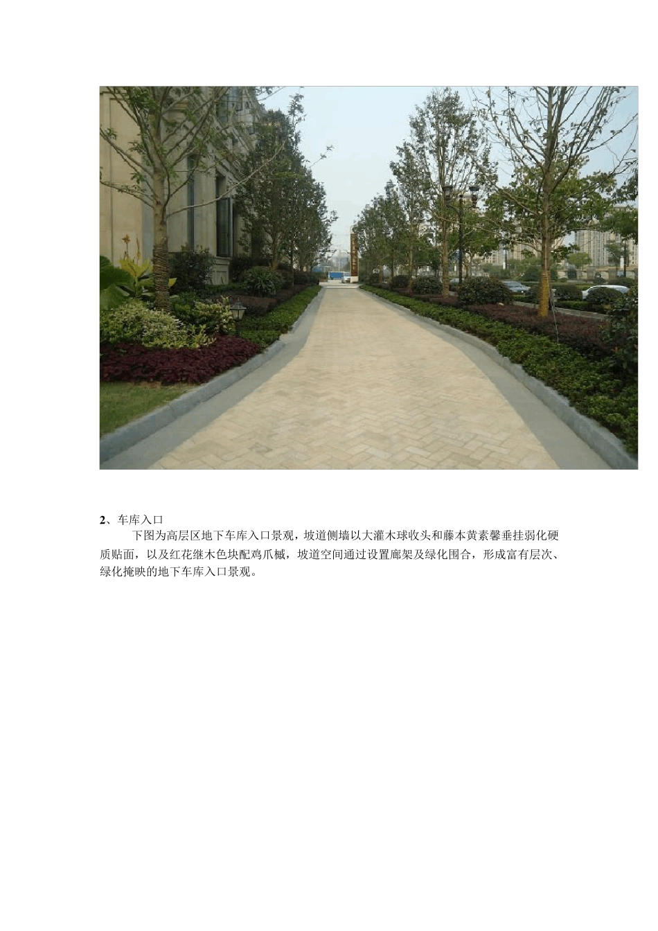 植物搭配分析_第2页