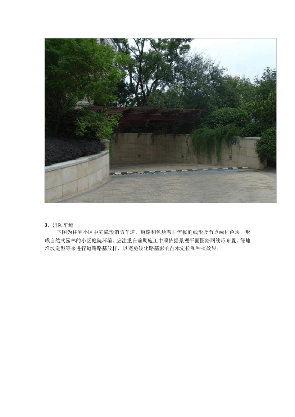 植物搭配分析_第3页