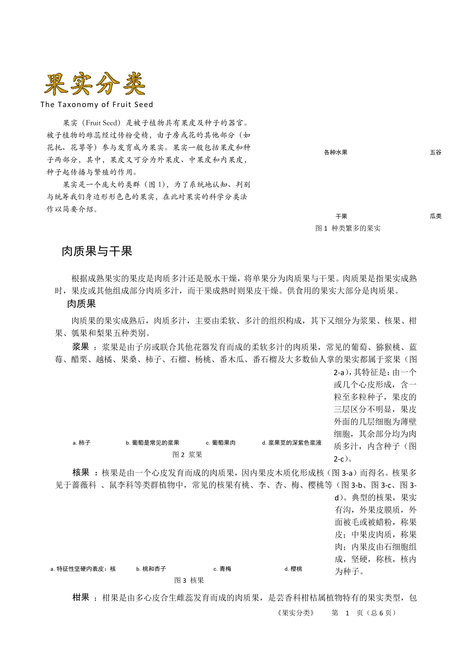 植物果实分类_第1页