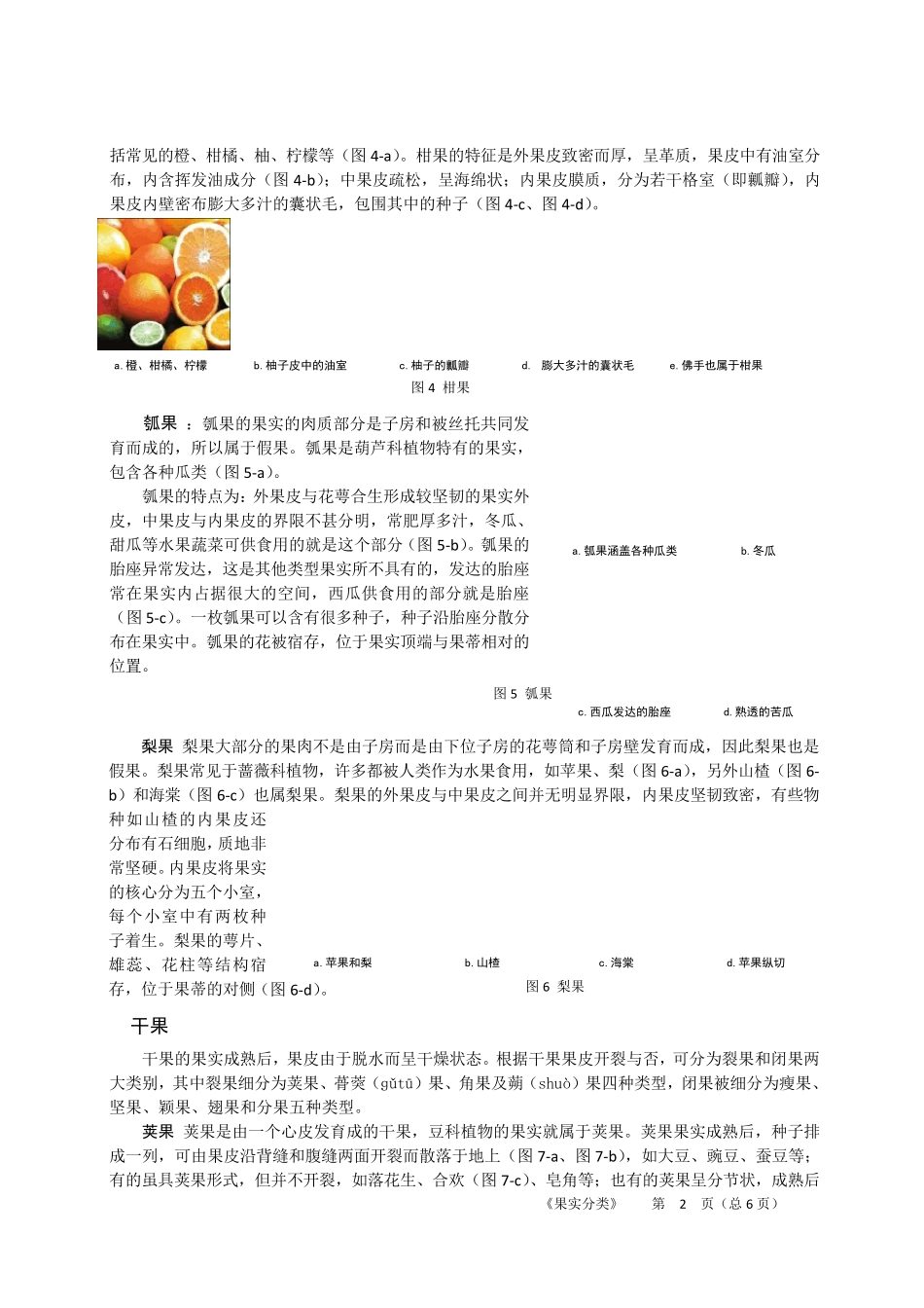 植物果实分类_第2页