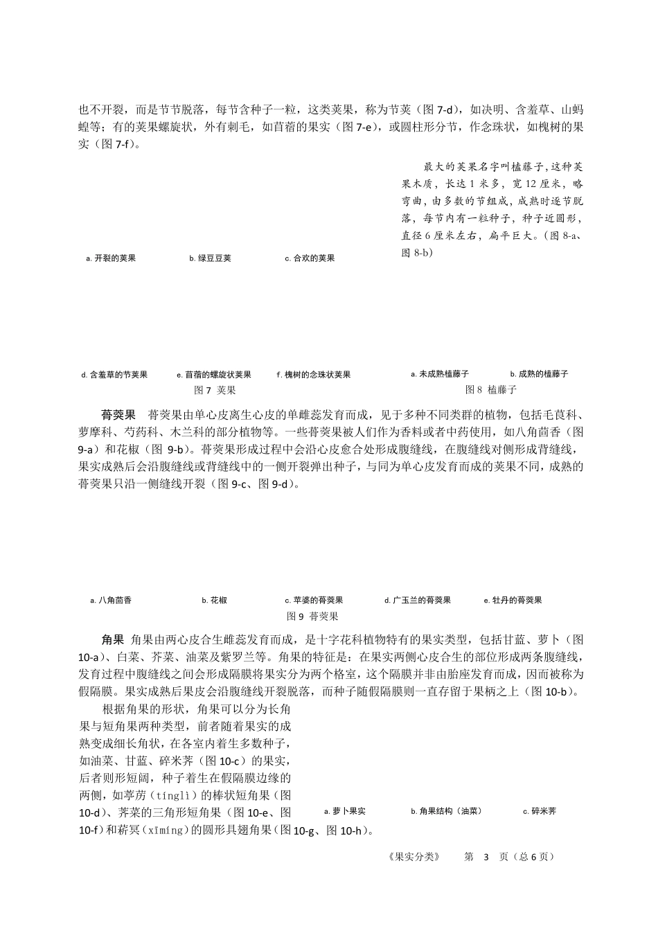 植物果实分类_第3页