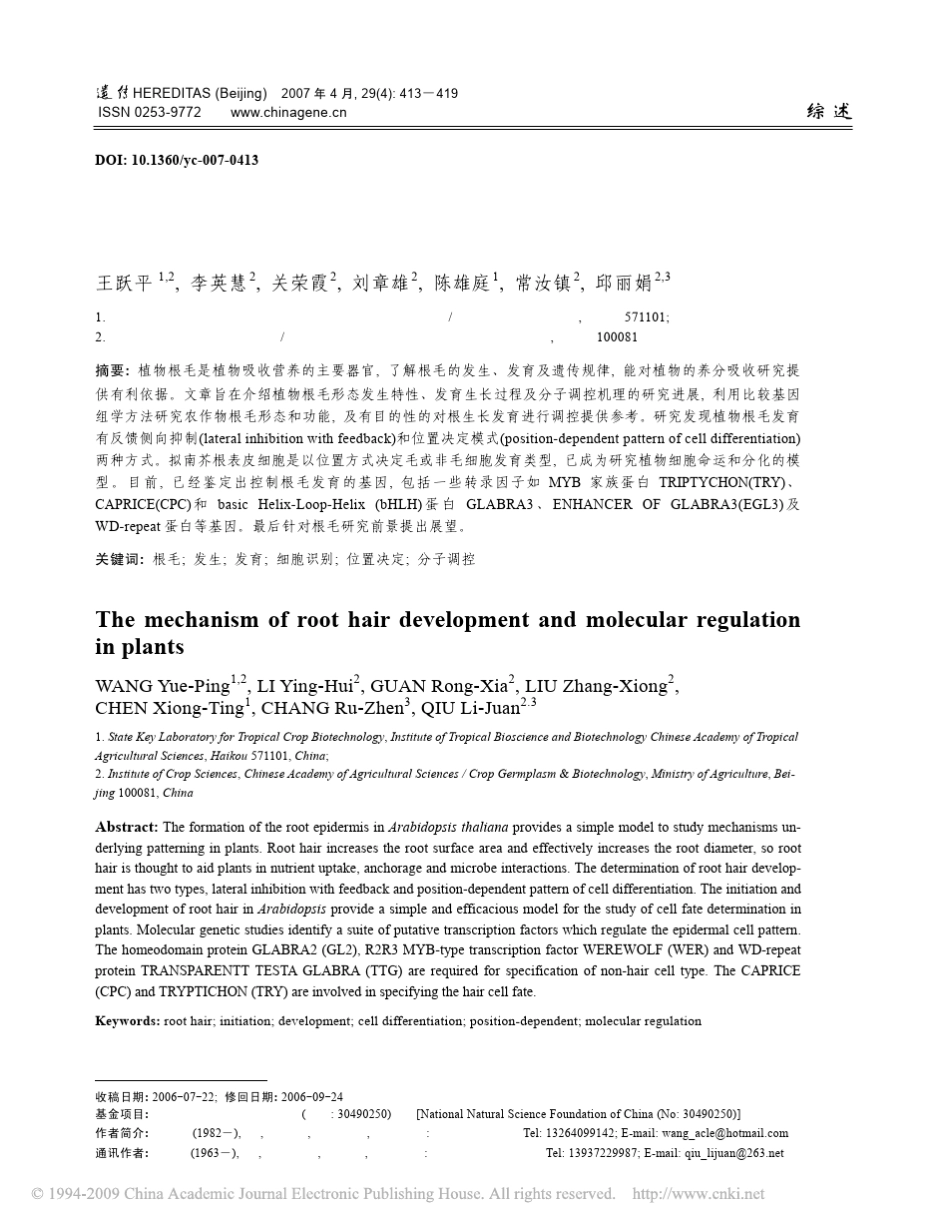 植物根毛生长发育及分子调控机理_第1页