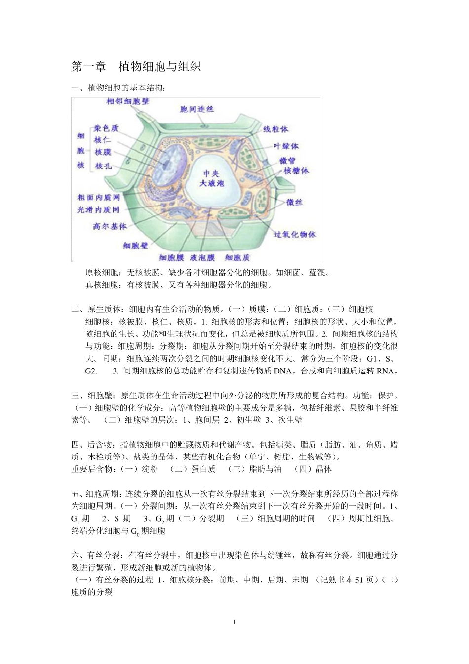 植物生物学复习资料_第1页