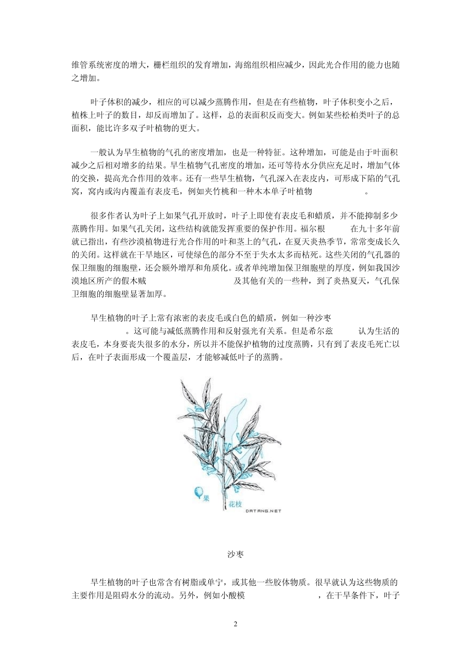 植物的形态结构与环境的关系_第2页