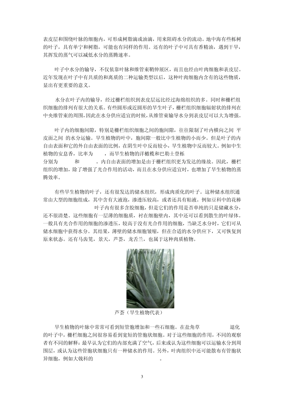 植物的形态结构与环境的关系_第3页