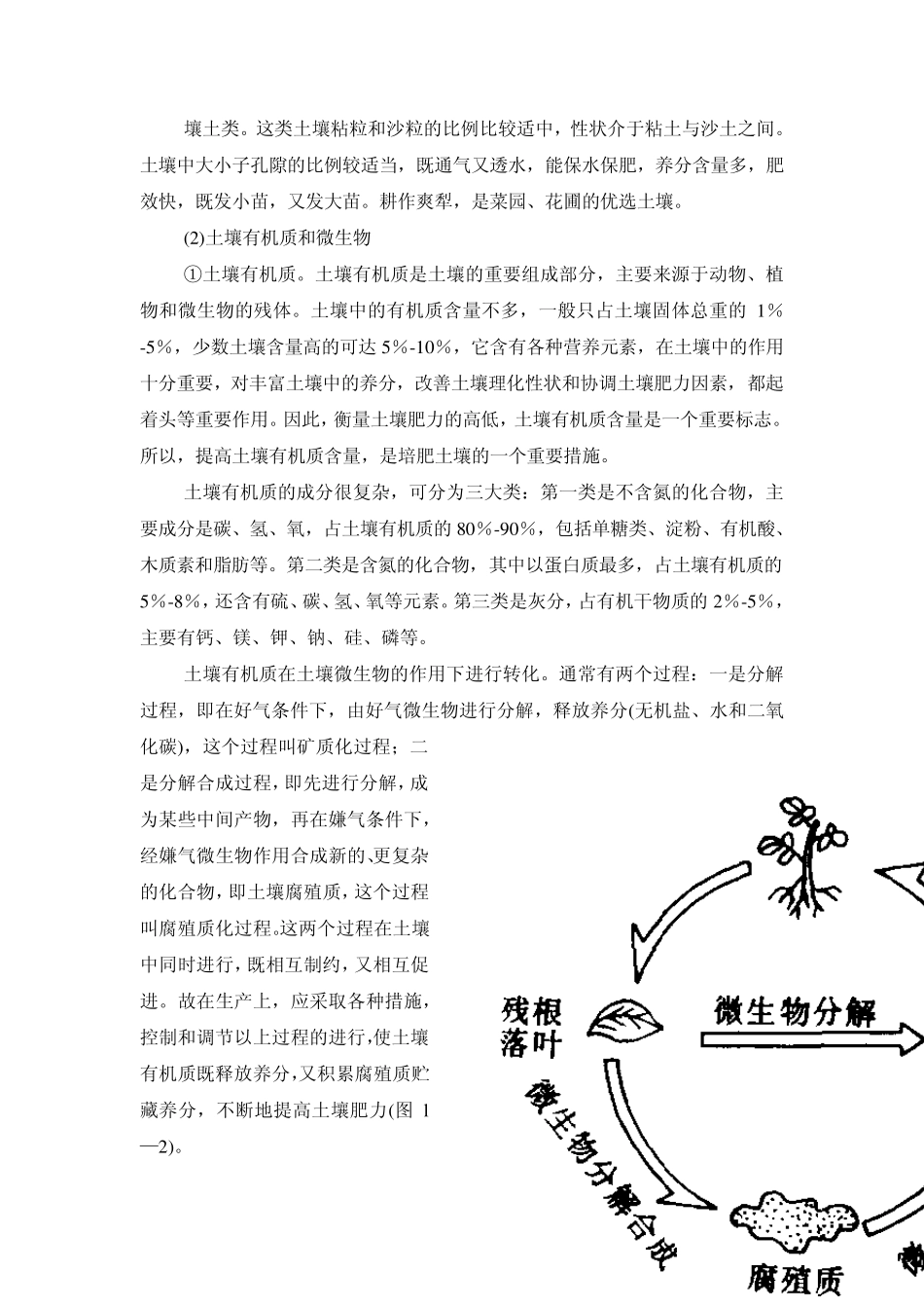 植物的生长因素_第3页