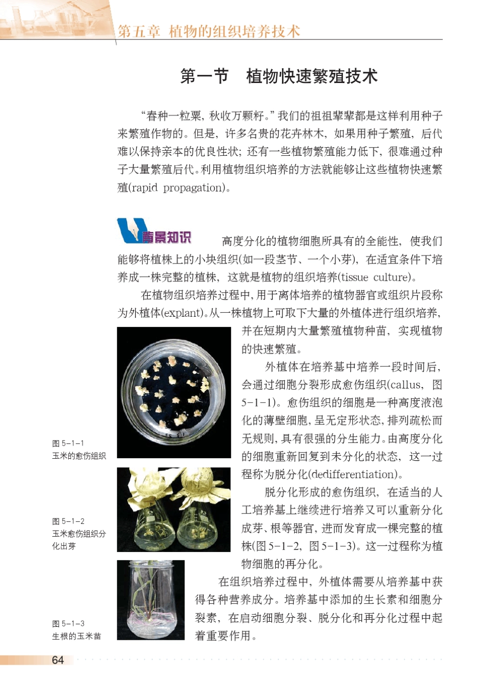 植物的组织培养技术_第2页