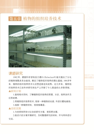 植物的组织培养技术