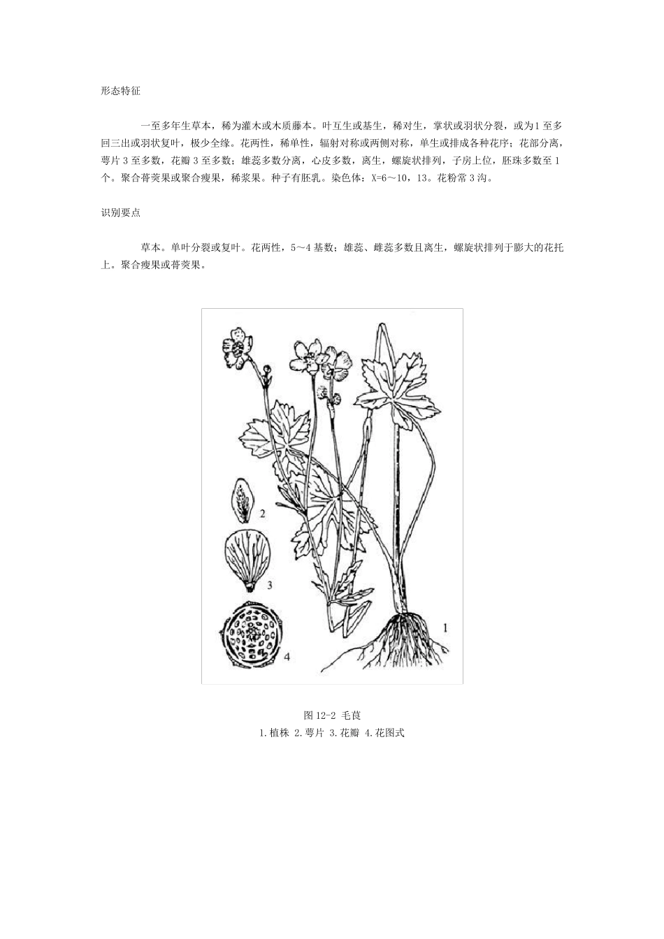 植物科属花公式花图式_第3页