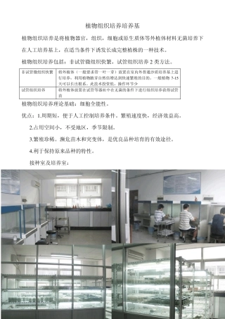 植物组织培养培养基