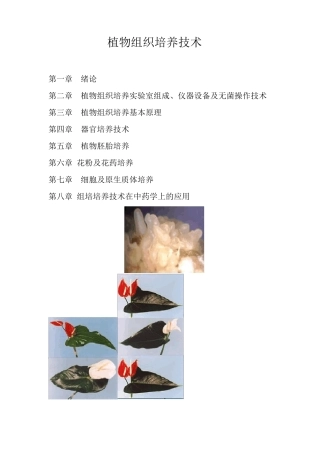 植物组织培养技术