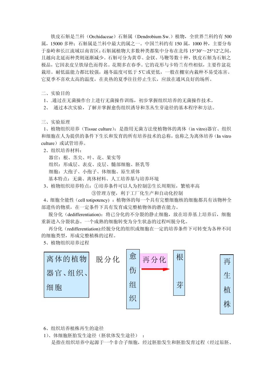 植物组织培养概念_第3页