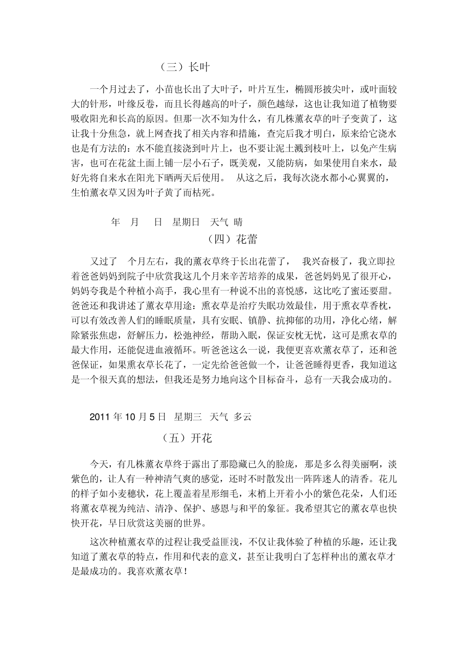 植物观察日记_第2页