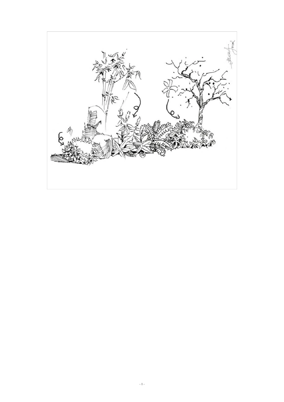 植物配置效果图手绘画法_第1页