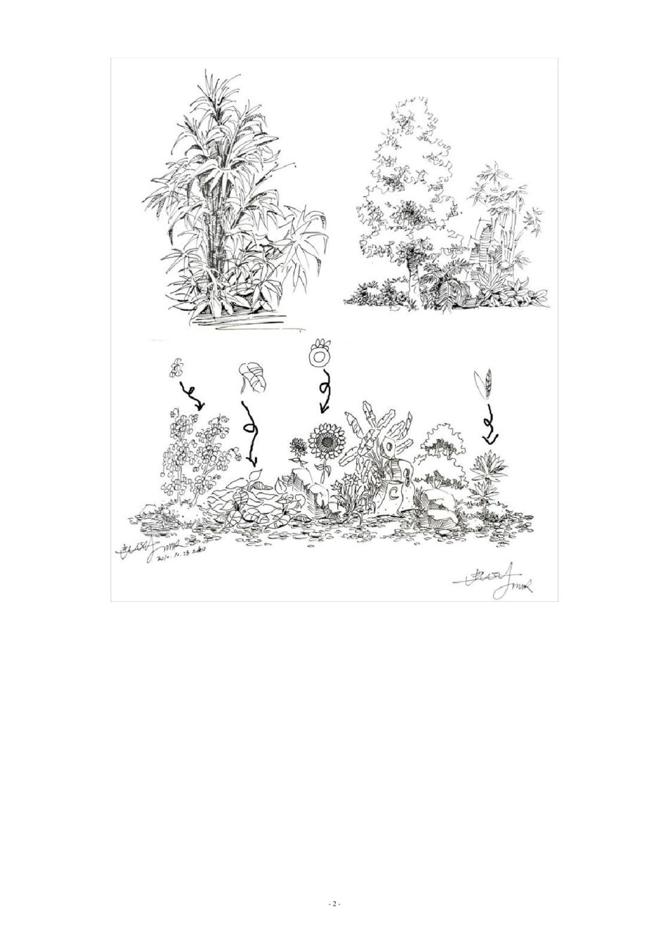 植物配置效果图手绘画法_第2页