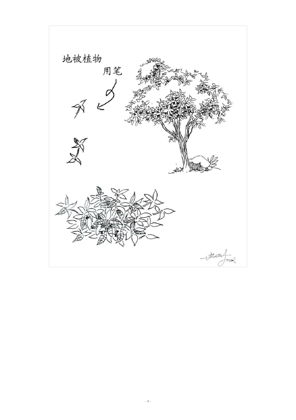 植物配置效果图手绘画法_第3页