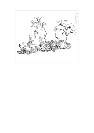 植物配置效果图手绘画法