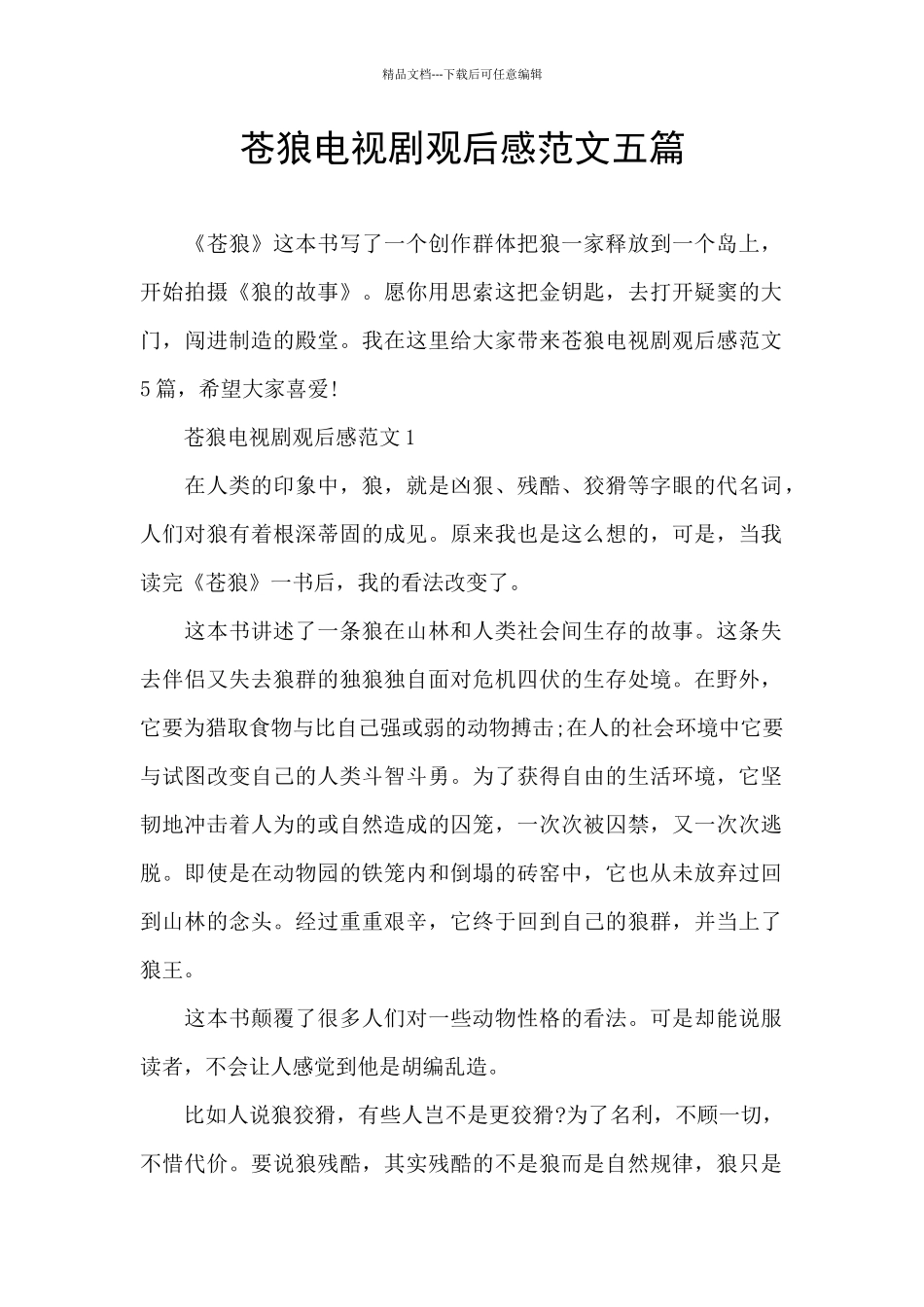 苍狼电视剧观后感范文五篇_第1页