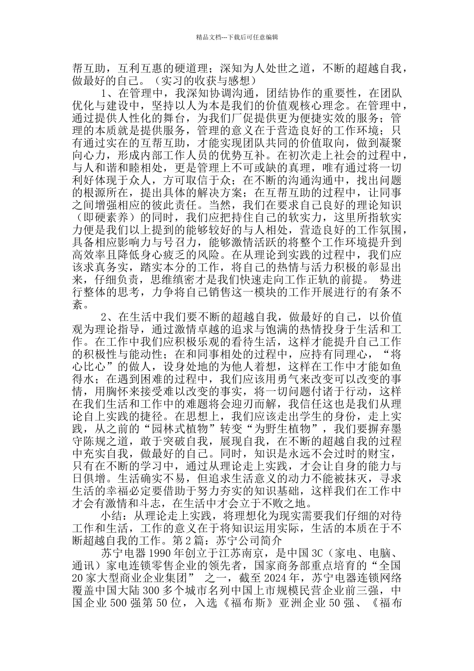 苏宁工作计划_第3页