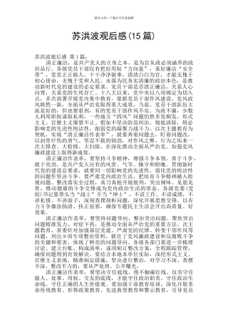 苏洪波观后感