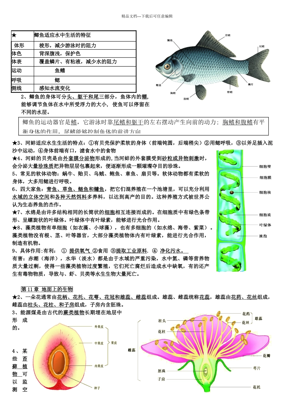 苏科版生物七年级下册知识点总结期末复习资料_第3页