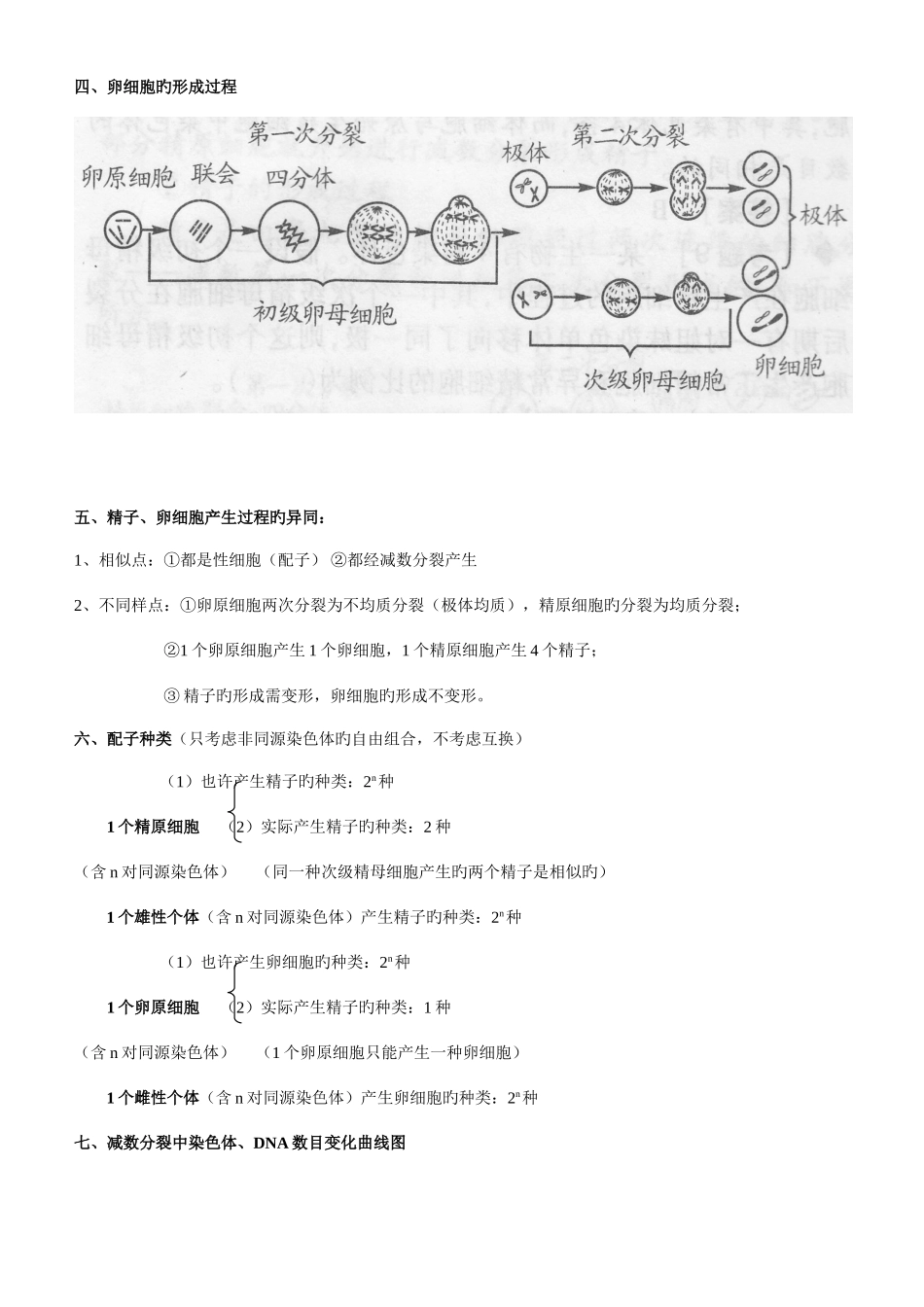 2025年减数分裂知识点总结_第2页