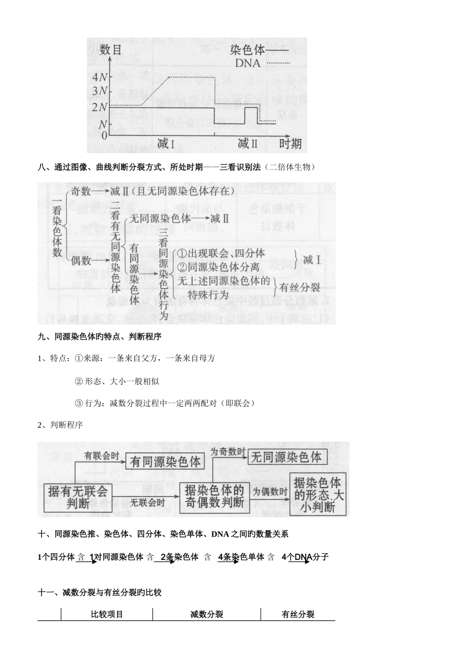 2025年减数分裂知识点总结_第3页