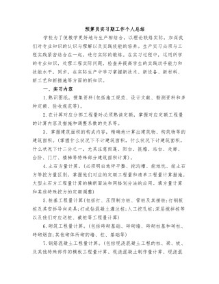 2025年预算员实习期工作个人总结