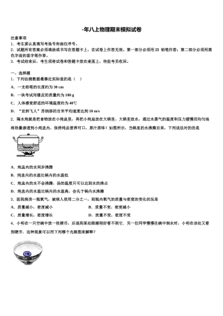 2025年广西北海市银海区八年级物理第一学期期末学业水平测试模拟试题含解析