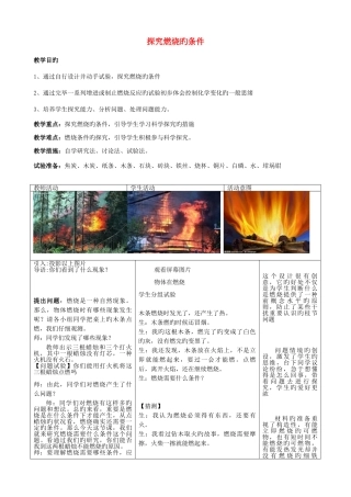 2025年九年级化学全册探究燃烧的条件教案鲁教版