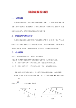 2025年中考数学复习考点解密阅读理解型问题含真题带解析