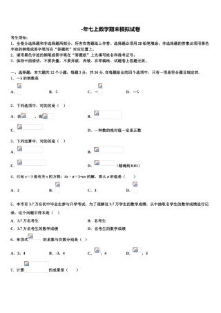 2025年广东省新朗实验学校七年级数学第一学期期末学业水平测试模拟试题含解析