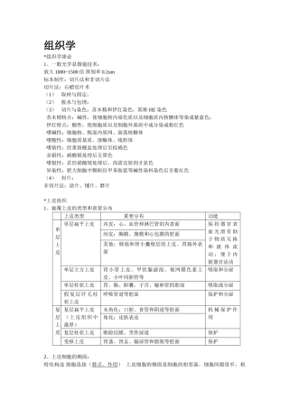 2025年组织学与胚胎学重点归纳