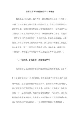 2025年农村信用社干部挂职学习心得体会