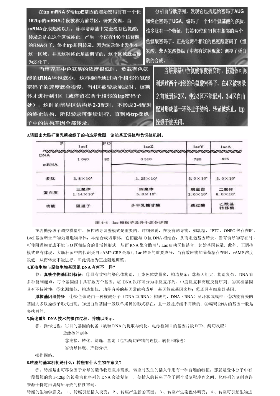 2025年分子生物学平时作业_第2页