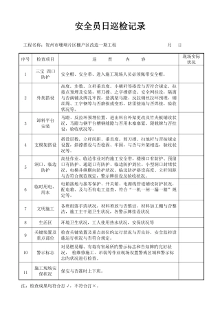 2025年安全员日常巡查记录表