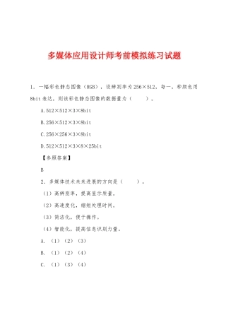 2025年多媒体应用设计师考前模拟练习试题