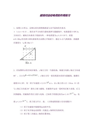 2025年黑龙江大庆喇中高考物理二轮复习知识点突破磁场对运动电荷的作用新人教版