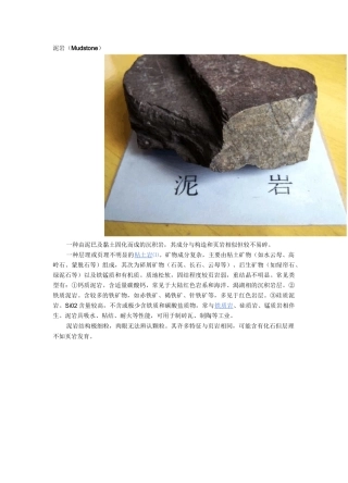 各种岩石图片及其说明