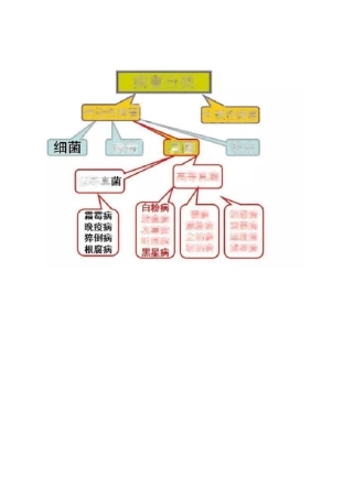 分不清高等真菌和低等真菌的看这里