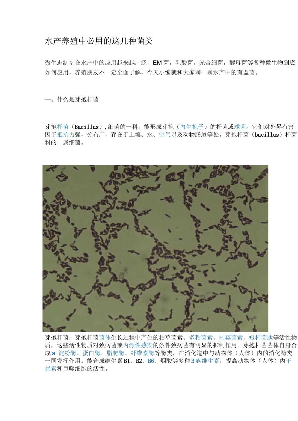水产养殖中必用的这几种菌类_第1页