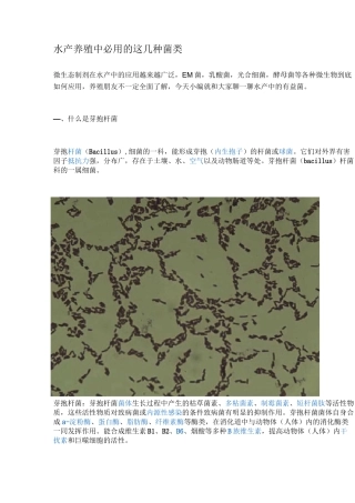 水产养殖中必用的这几种菌类