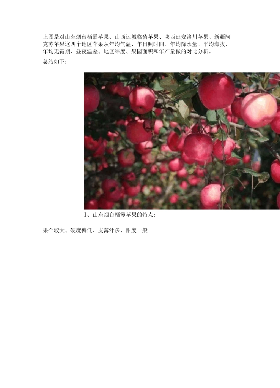 中国各大苹果产区苹果的对比差异_第3页