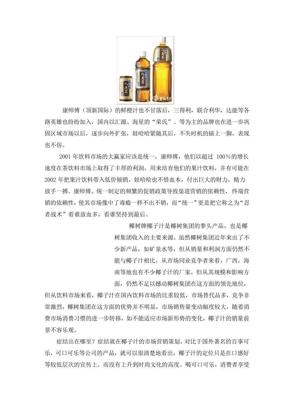 椰树牌椰子汁市场调查分析报告2_第2页