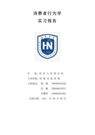 椰树牌椰汁的消费者行为分析