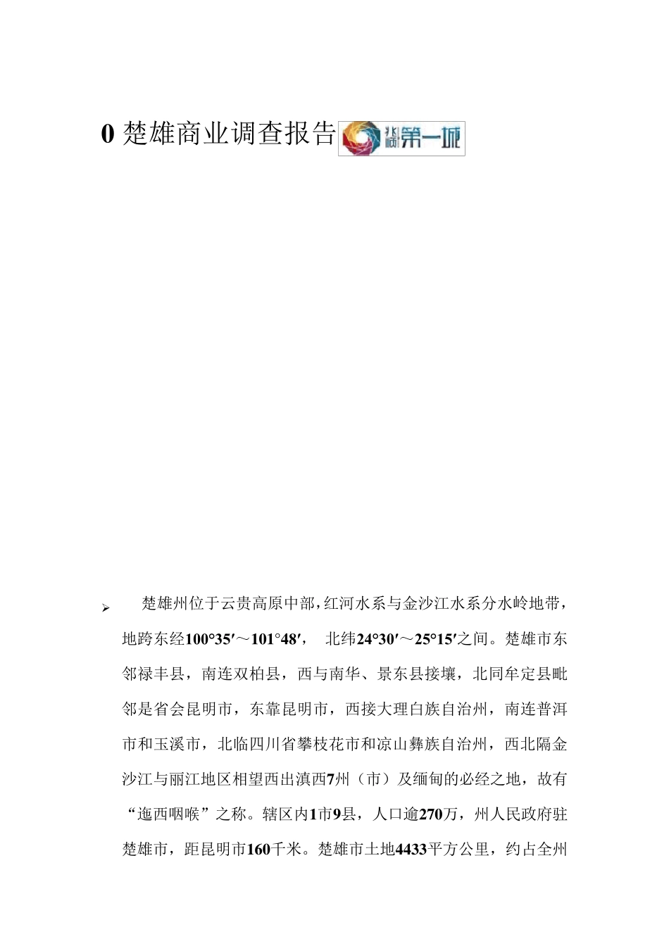 楚雄商业调查报告_第1页